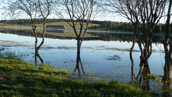 iNSTANTS-20D-ABSOLU-20--20Ecolodge-20du-20Lac-20du-20Peche.JPG