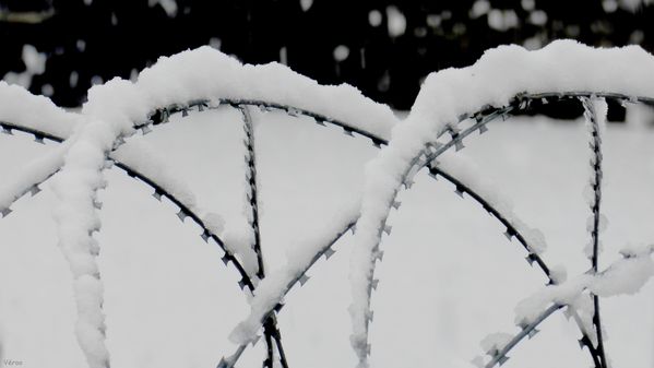 neige-3.jpg