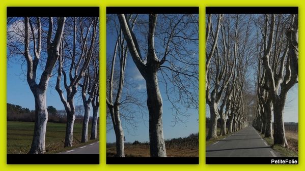 2010-02-vacances sud6-copie-1