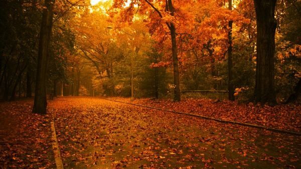 wallpaper-hd-autumn-6