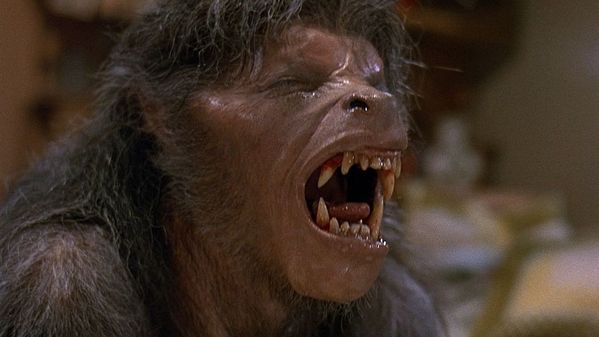american-werewolf-1