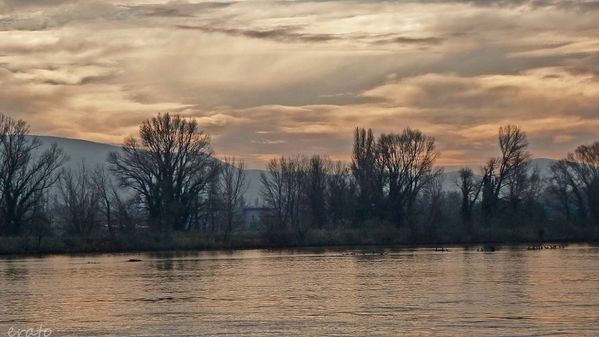 3-decembre-2012-009a.jpg