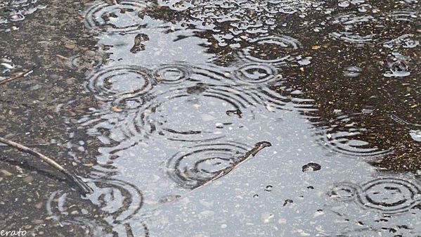 pluie-039a.jpg