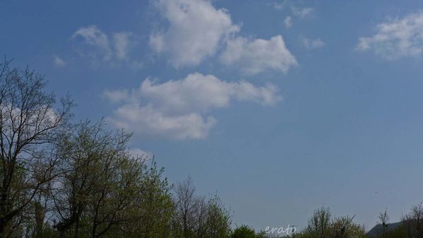 ciel-016a.jpg