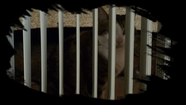 16nov2011-speed-gouttes-007a.jpg