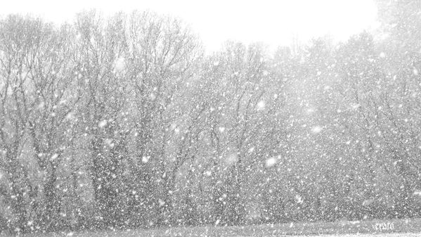 19-dec-2011--premiere-neige-021ab.jpg