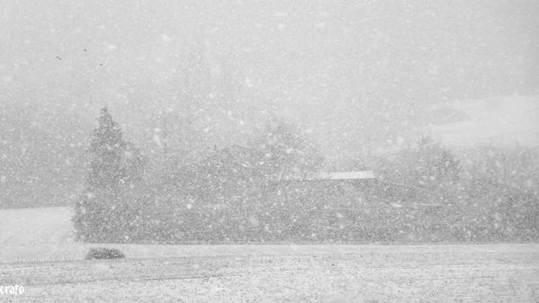 19-dec-2011--premiere-neige-024ab.jpg