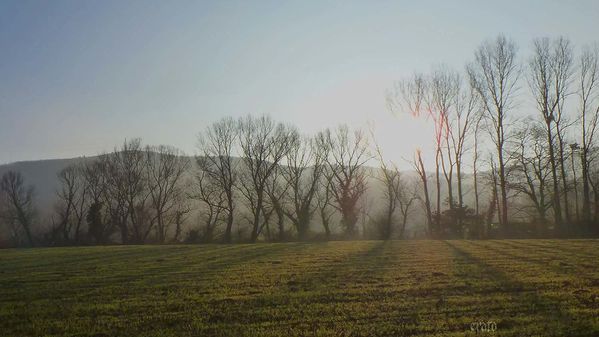 11janv. 2012 - gelée 024a