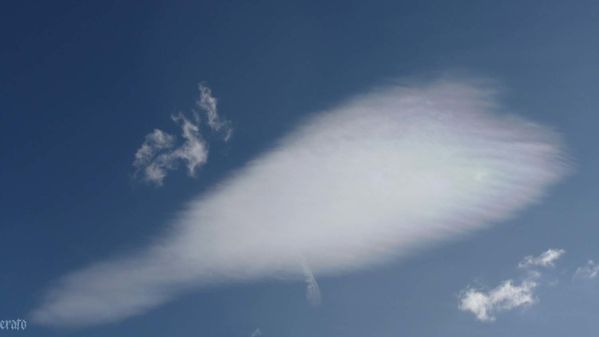 23-janv.-2012---arbre---ciel-018.JPG