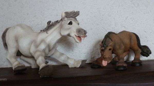 17fev2012--cheval-001a.jpg