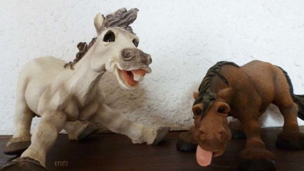 17fev2012--cheval-003a.jpg