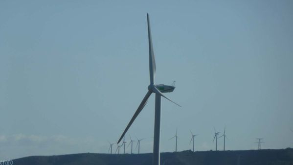 5mars2012--Carcassonne-087a.jpg