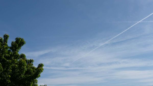 7mai2012--printemps-035a.jpg