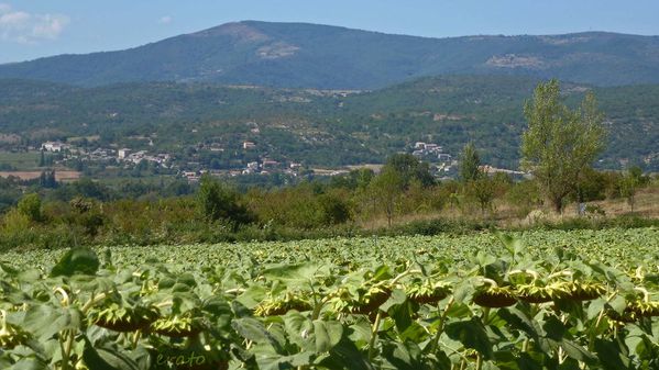 14-aout-2012---010a.jpg