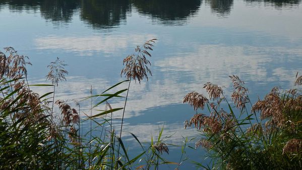 17-septembre-2012--bord-du-Rhone-008a.jpg