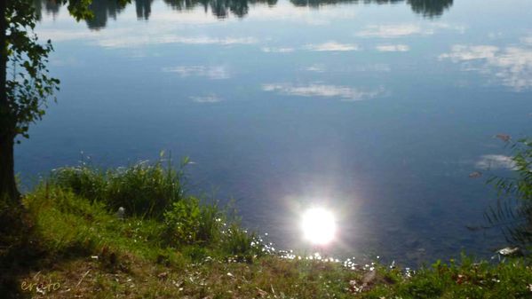 17-septembre-2012--bord-du-Rhone-012a_modifie-1.jpg
