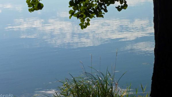 17-septembre-2012--bord-du-Rhone-014a.jpg