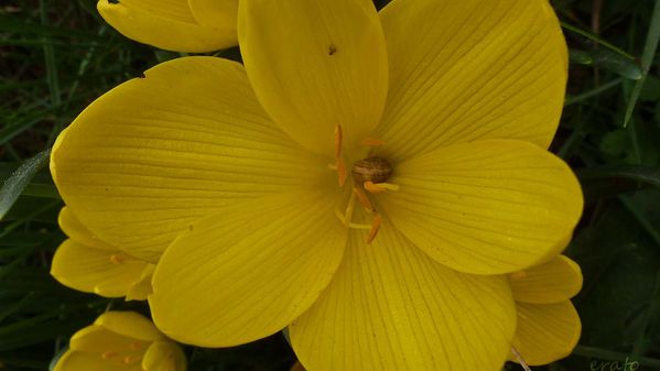 4-octobre-2012-025a.jpg