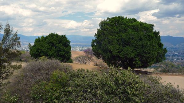 Monte-Alban-vue-sur-Oaxaca--2--copie-1.jpg