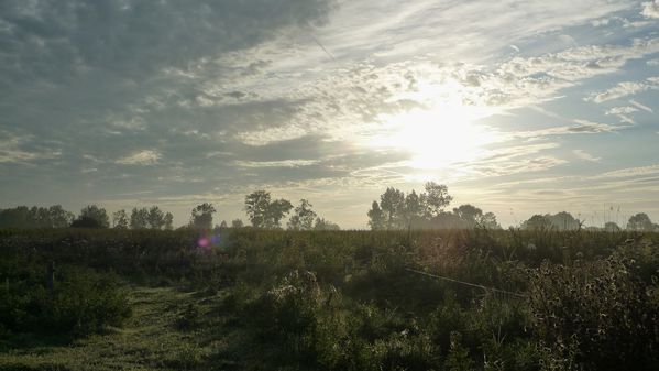 P1280188b.jpg