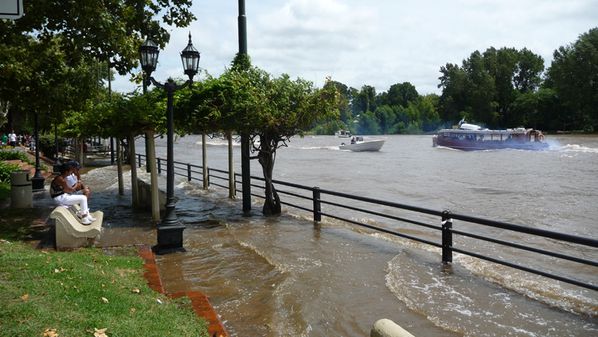 P1130706tigre