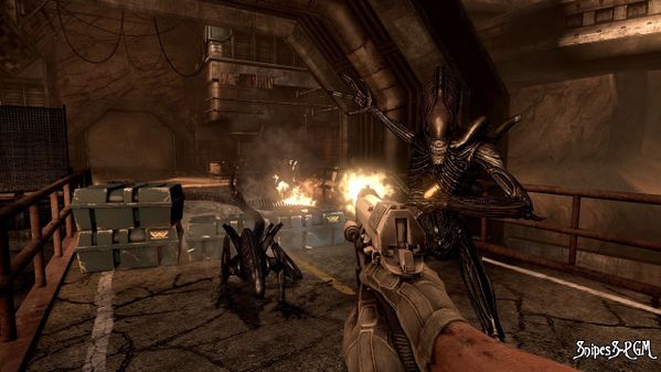 aliens-vs-predator-pc-038.jpg