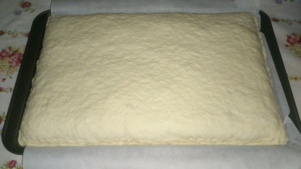 Pirog-aux-choux-et-aux-oeufs-durs-0036.JPG