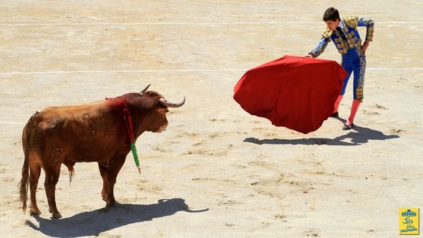 NIMES-2011 0057 JScrdm