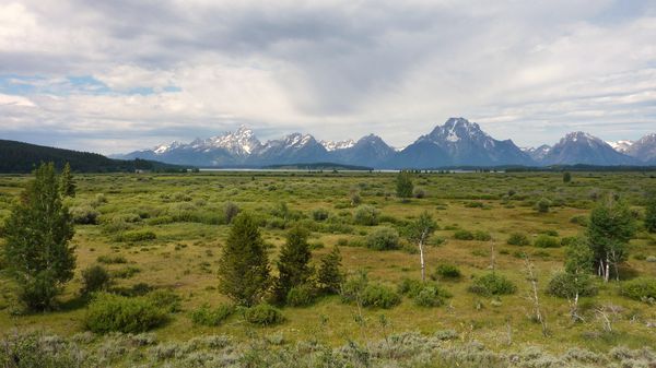 Jour 10 Parc du Grand Teton