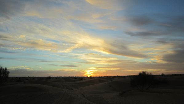 Desert-Tunisie-decembre-2010 1861[1]