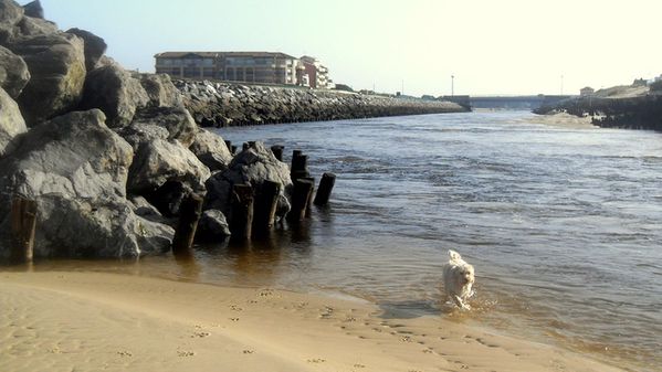 19-11-09-009-1.jpg