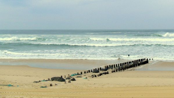 ocean8-3.jpg