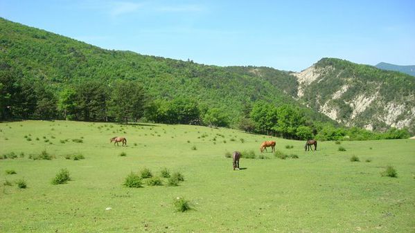 Vue à la ferme de Baise