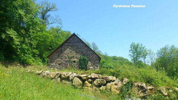 la-petite-transhumance-au-Bescuns 0457