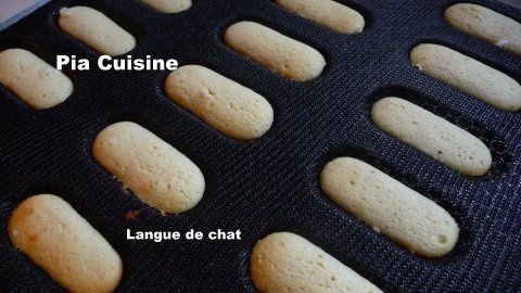 Langue de chat (4)