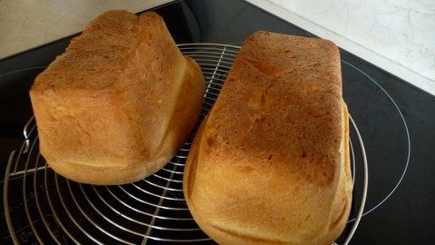 PAIN TOAST 1