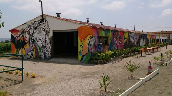 Graffiti para Hipica 01