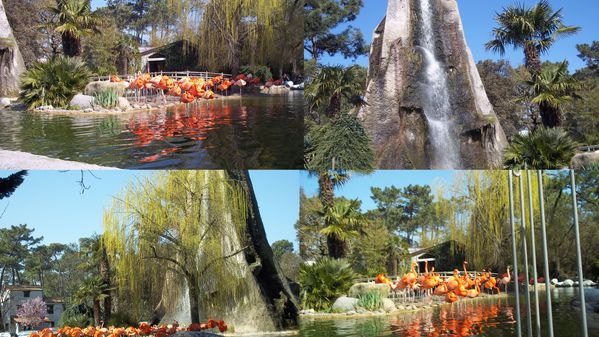 2012-03-26-zoo1.jpg