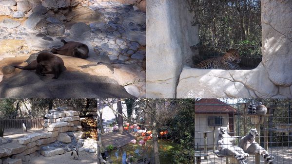 2012-03-26-zoo3.jpg