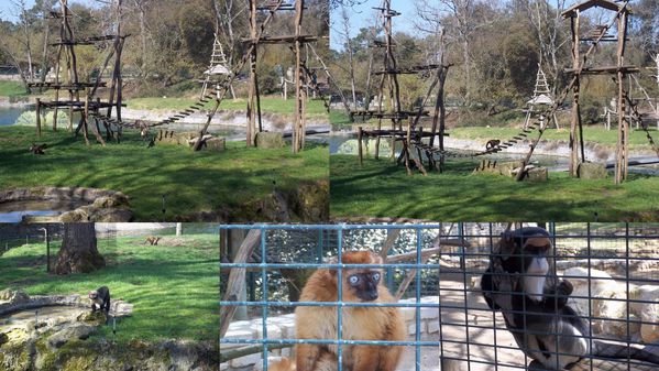 2012-03-26-zoo7.jpg