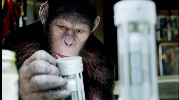 La-planete-des-singes-1.jpg