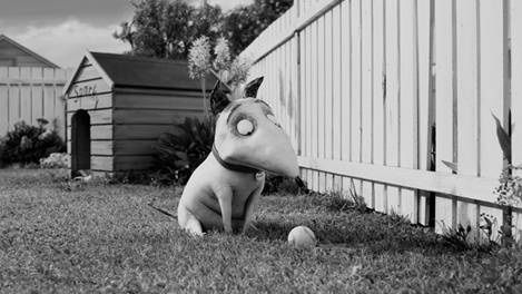 FRANKENWEENIE-photo-2.jpg