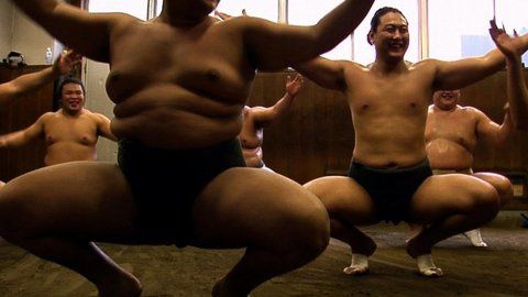 Tu-seras-sumo-photo-3.jpg