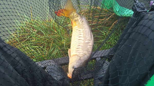 Authie---23-11-2011 1380