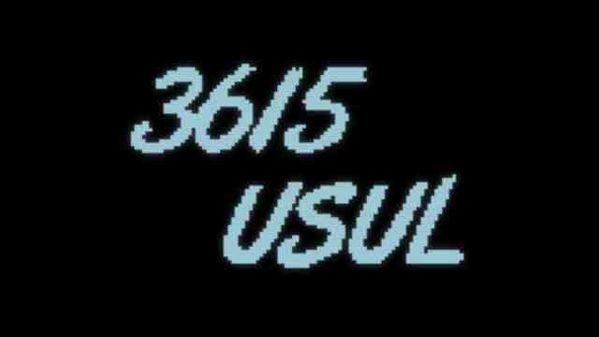 3615 Usul up-copie-2