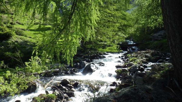 haute-tinee-le-02-06-2013-183.JPG