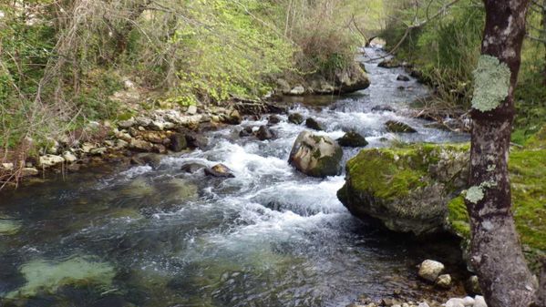 st-vallier-le-22-04-2013-144.JPG