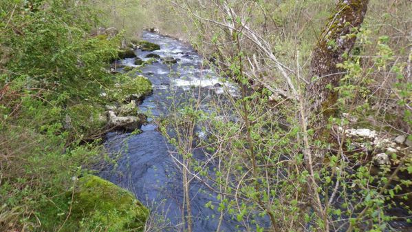 st-vallier-le-22-04-2013-148.JPG