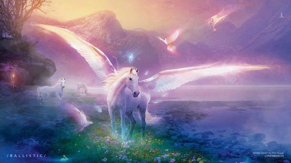 UNICORN-WOW-ZA.jpg