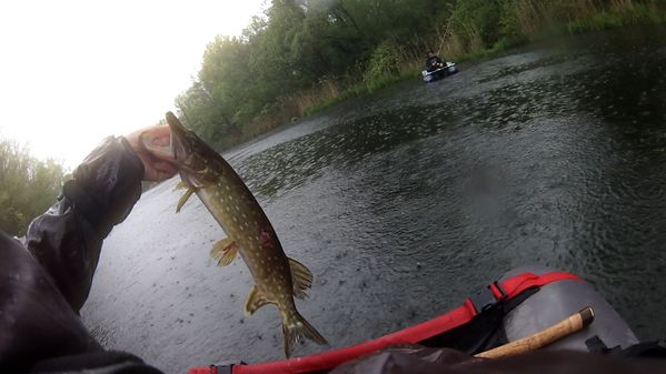 Brochet Isere - 01/05 à 12h04